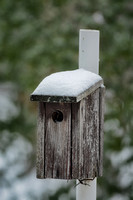 Snow Capped Birdhouse 579403072015