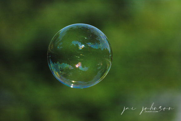 Bubble Photograph