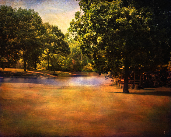 Summer Pond Landscape