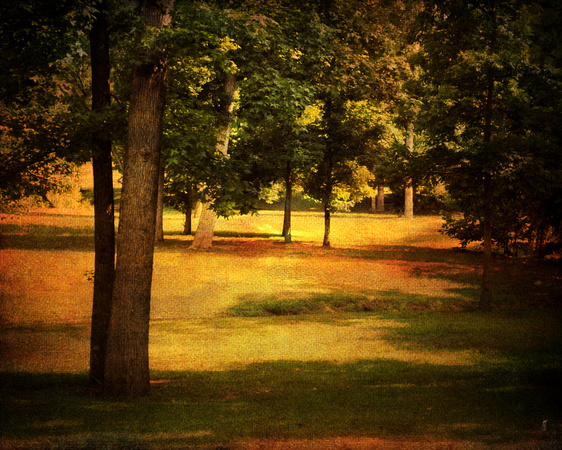 Summer in the Grove Landscape