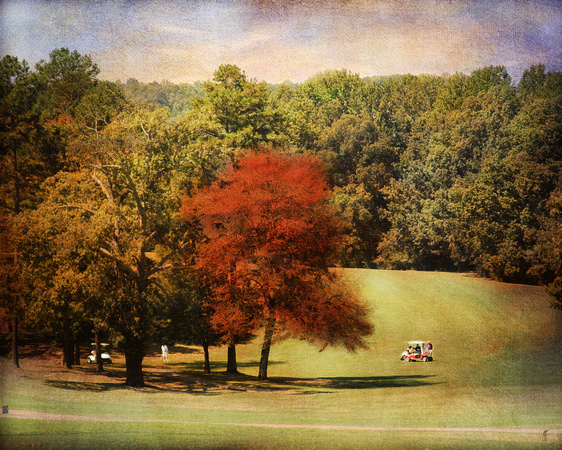 Golf Course VI Landscape - Fall Landscape