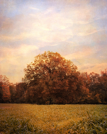 Where Memories Are Made - Autumn Landscape