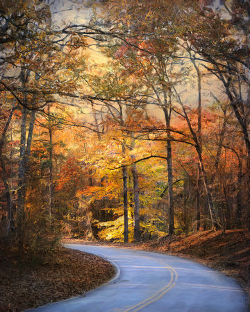 Winding Fall Parkway