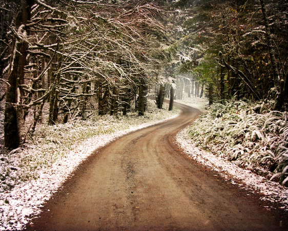 Winter Path - Snow Landscape