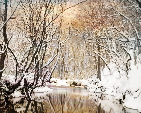 Sunkissed Winter Creek - Water Scene Landscape