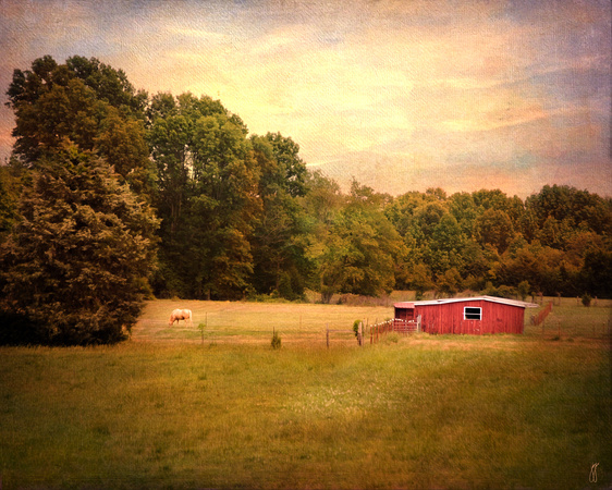 Little Red Barn Landscape