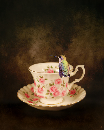 Tea Time With a Hummingbird 1 - Hummingbird