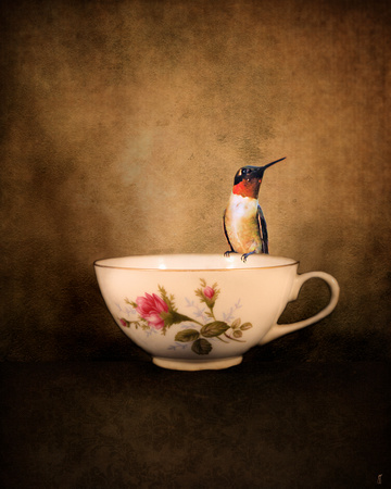 Tea Time With a Hummingbird 2 - Hummingbird
