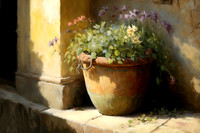 Flowerpot In The Sun