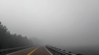 Foggy Road To Shiloh