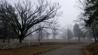 Cemetery at Shiloh National Military Park On Foggy Morning