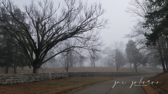 Cemetery at Shiloh National Military Park On Foggy Morning