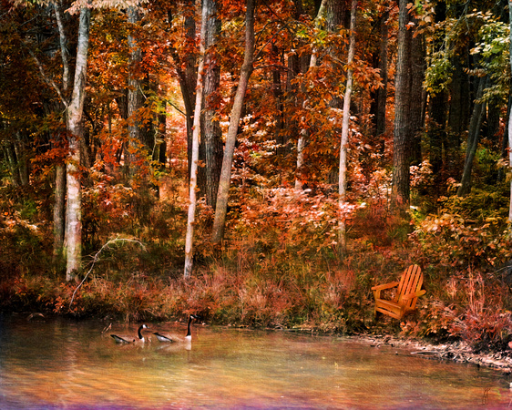 Secret Pond - autumn landscape home decor