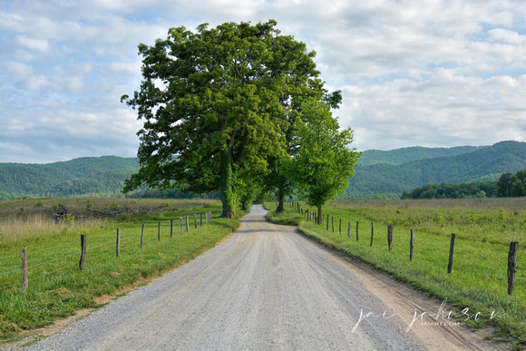 Sparks Lane - Cades Cove - Great Smoky Mountains National Park
