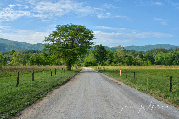 Sparks Lane - Cades Cove - Great Smoky Mountains National Park