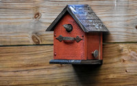 House Wren In Custom Red Birdhouse