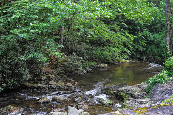 Creek In Cades Cove Great Smoky Mountains National Park
