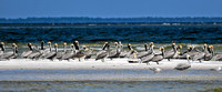 Pelican Peninsula Cape San Blas Florida