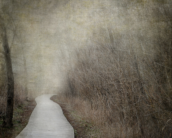 Into The Unknown - Pathway Landscape