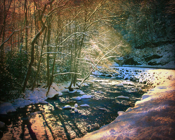 Winter Creek Landscape