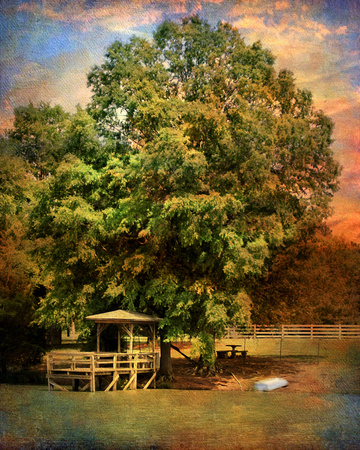 Graves Pond II - Water Scene Landscape