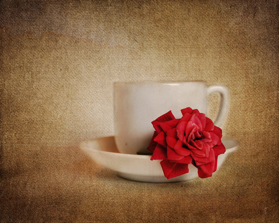 Miniature Red Rose IV with teacup