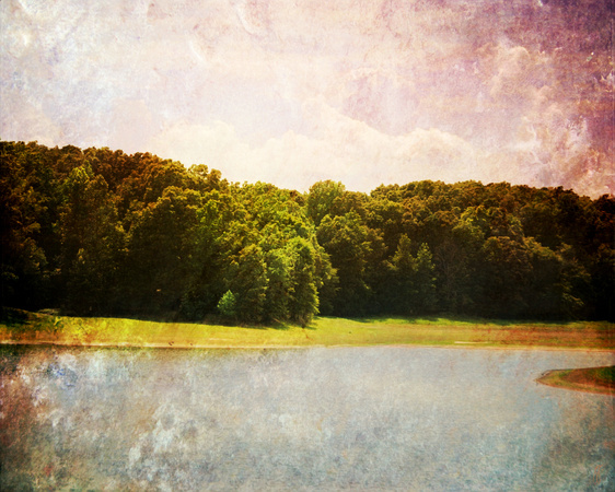 Springbrook Lake Landscape