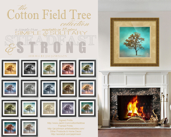 The Cotton Field Tree Collection